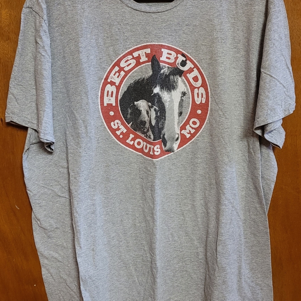 Campdavid T-Shirt. Size 2XL.